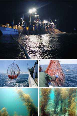 魚津の海業物語　奇跡の富山湾で漁をする